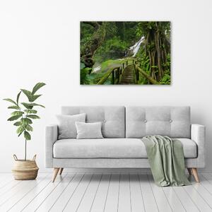 Foto obraz na plátně Vodopád v džungli pl-oc-100x70-f-120475287