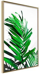 Artgeist Emerald Palm Velikosti (šířkaxvýška): 20x30, Finální vzhled: Černý rám s paspartou