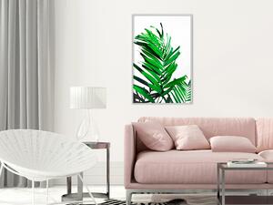 Artgeist Emerald Palm Velikosti (šířkaxvýška): 20x30, Finální vzhled: Černý rám s paspartou