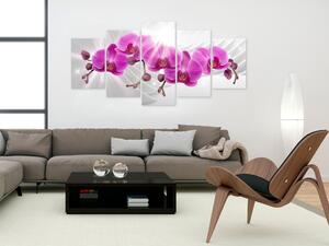 Obraz Abstraktní zahrada: Růžové orchideje