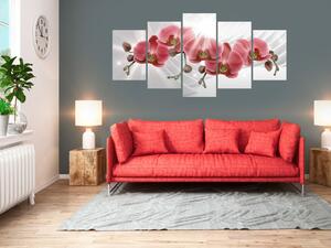 Obraz Abstraktní zahrada: Červené orchideje