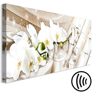 Obraz Orchidej a abstrakce - bílé květy na abstraktním béžovém pozadí