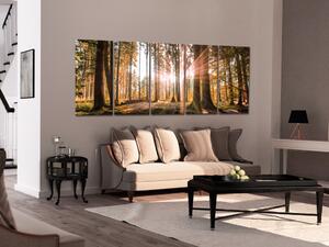 Obraz Krása lesní přírody (5 dílů) - slunečný krajinný motiv stromů na plátně