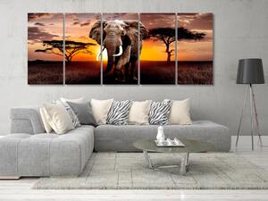 Obraz Afričtí sloni