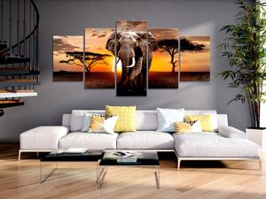 Obraz Cesta slona (5-dílný) - západ slunce na africké savaně