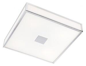 Stropní koupelnové LED svítidlo Ego 01-1238 Redo Group