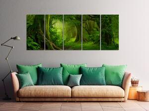 Obraz Tropická džungle