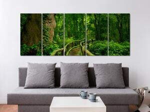 Obraz Cesta do neznáma (5 dílů) - most mezi stromy v exotické džungli