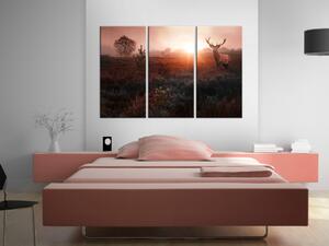Obraz Jelen ve slunečním svitu (3-dílný) - červený krajinný motiv s lesy v pozadí