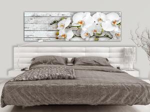 Obraz Orchideje a Dřevo (1-dílný) - bílé květy na pozadí šedého dřeva
