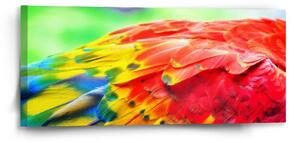 Sablio Obraz Barevné peří 2 - 110x50 cm
