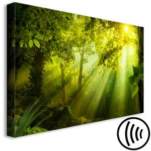 Obraz Ve slunečním svitu (1-dílný) úzký - pohádková zelená lesní krajina