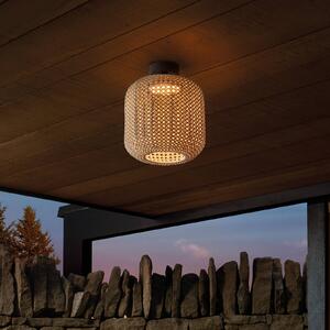 Bover Venkovní stropní svítidlo Nans PF/31 LED, hnědá barva, stmívatelný, Hnědá / rez, Nerezová ocel, Design