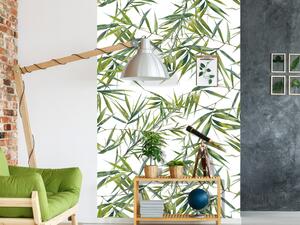 Fototapeta Hustý bambus - hustá kompozice tropických listů na bílém pozadí
