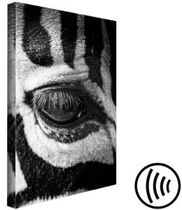 Obraz Zvíře v pruzích (1-dílný) - Pohled na černobílé zebry