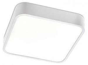 Stropní LED svítidlo Screen 01-1121 30cm matná bílá Redo Group