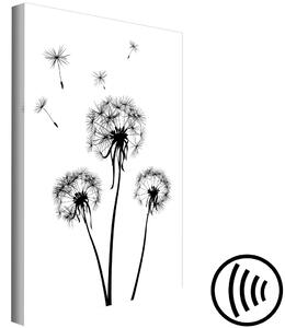 Obraz Vířivá semena pampelišky (1-dílný) - Černobílá příroda květů