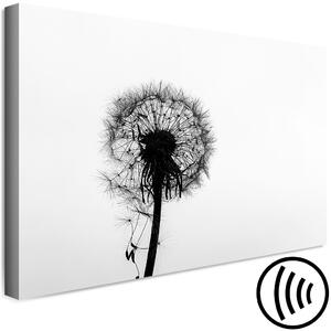 Obraz Lehkost přírody (1-dílný) - Pampeliška v černobílém pozadí