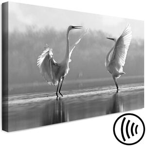 Obraz Ptáčí tanec lásky (1-dílný) - Bílé labutě odražené ve vodě