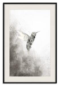Plakát Etnický kolibřík