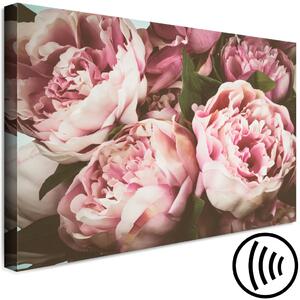 Obraz Kytice pastelových květů (1-dílný) - Pivoňky v růžovém odstínu