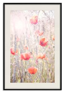 Plakát Letní louka - barevná kompozice v červených mácích mezi polními květinami