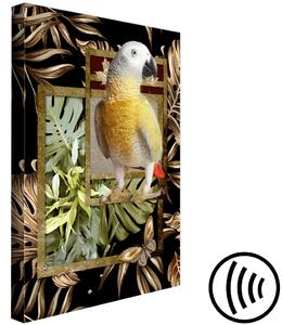 Obraz Pták ráje džungle (1-dílný) - Papoušek na pozadí listů a motýla