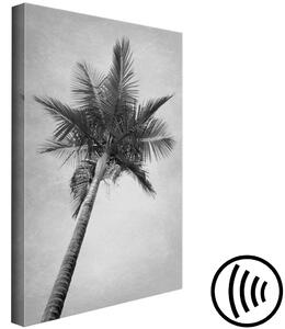Obraz Vysoká palma (1-panel) vertikální