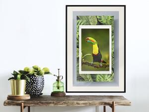 Plakát Tukan - barevný pták sedící na větvi mezi tropickými listy