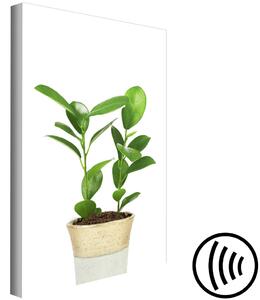 Obraz Rostlina v květináči (1 panel) vertikální