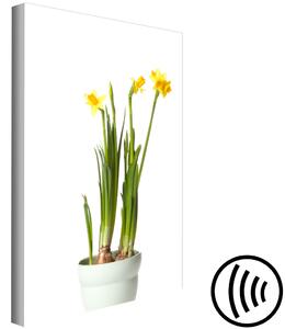 Obraz Narcis (1 kus) vertikální