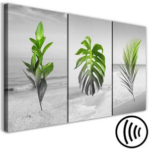 Obraz Rostlinný triptych - zelené listy na šedém pozadí
