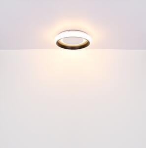 GLOBO Závěsné stmívatelné LED osvětlení na lanku TABANO, 40W, teplá bílá-studená bílá, kulaté, černobílé 48272H-36B