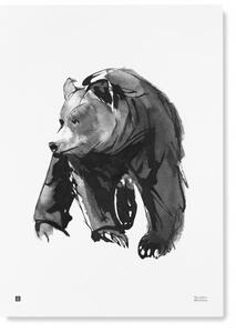 Teemu Järvi Plakát s motivem medvěda Gentle bear 50x70
