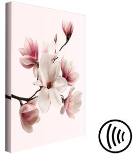 Obraz Vítání jara (1 díl) - Květ magnólie v něžném odstínu