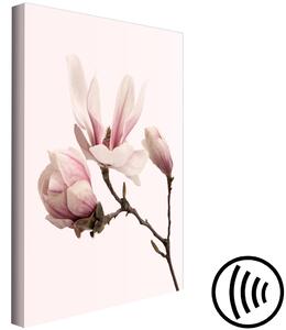 Obraz Symbol jara (1 díl) - Květ magnólie v růžovém odstínu přírody