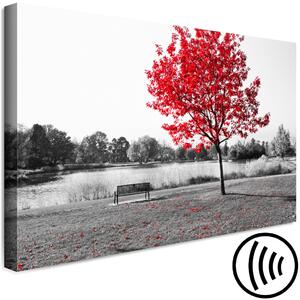 Obraz V tónu podzimu (1 díl) - Šedá fotografie červeného stromu
