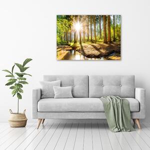 Foto obraz na plátně do obýváku Panorama les pl-oc-100x70-f-145813283