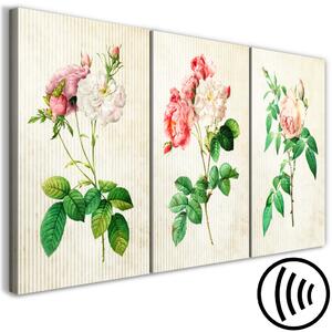 Obraz Květinové trio (kolekce)