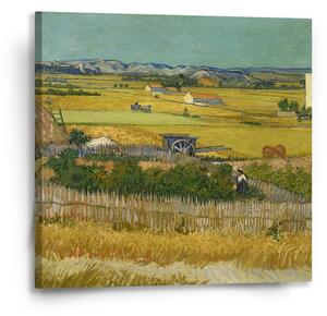 Sablio Obraz Sklizeň - Vincent van Gogh - 50x50 cm