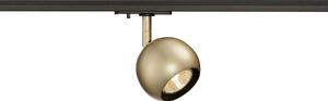 LA 144013 LIGHT EYE BALL spot pro 1-okr. lištu perleťová zlatá 230V GU10 50W - BIG WHITE (SLV)