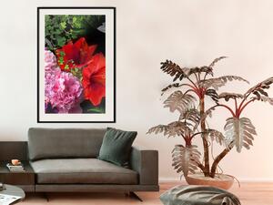 Plakát Květinová symfonie - barevná kompozice květin na jednotném pozadí