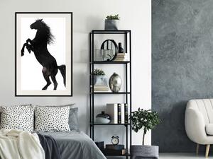 Plakát Koňský tanec - černobílá kompozice se stojícím koněm