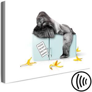 Obraz Hladová gorila (1-dílná) široká