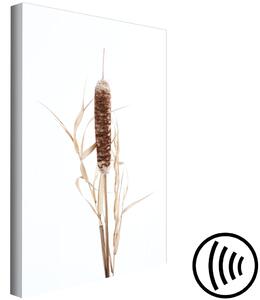 Obraz Královna bažin - minimalistický rostlinný motiv ve skandinávském stylu