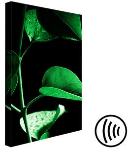 Obraz Rostlina v černé barvě (1 panel) vertikální