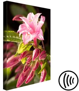 Obraz Přírodní růžová (1 panel) vertikální