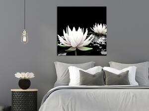 Obraz Lotusové květy (1-dílný) čtvercový