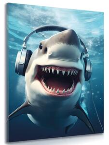 Obraz žralok se sluchátky