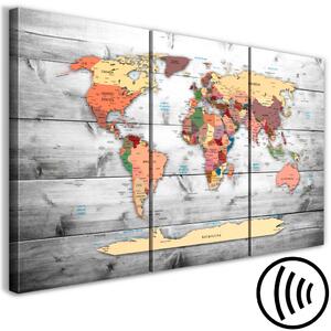 Obraz Mapa světa: Nové směry (3 díly)